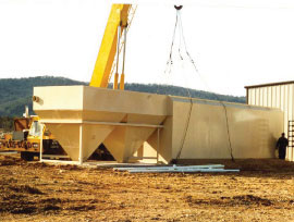 Plant in Position