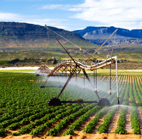 Irrigation